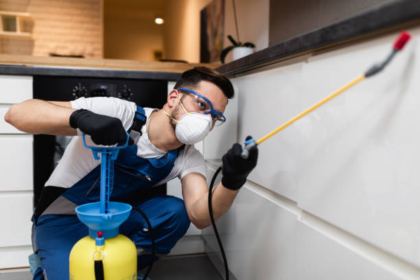 Best Wildlife Control Services  in Crouch Mesa, NM