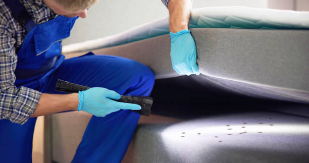 Best Bed Bug Extermination  in Crouch Mesa, NM