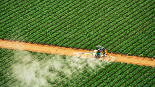Reliable Crouch Mesa, NM Pest Control Solutions