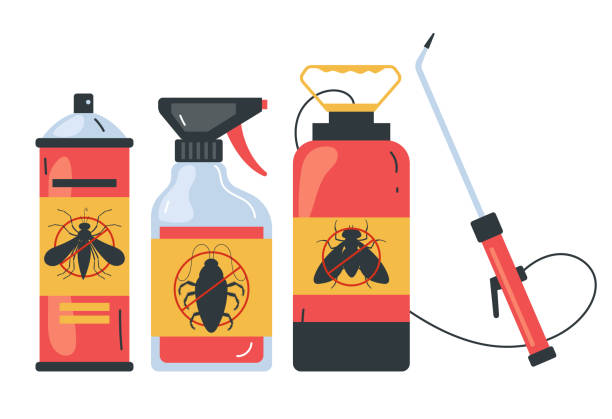 Best Local Pest Control Services  in Crouch Mesa, NM