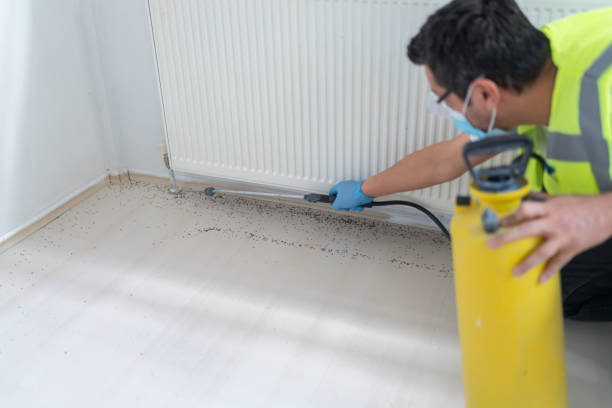 Best Best Pest Control Companies  in Crouch Mesa, NM