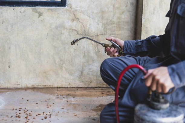 Best Affordable Pest Control Services  in Crouch Mesa, NM